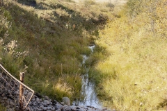 Ranch-0408