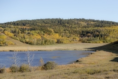 Ranch-0499