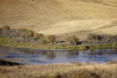 Ranch-0580